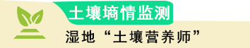 组 1 拷贝.png