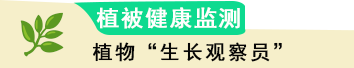 组 1 拷贝 2.png