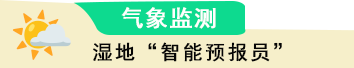 组 1 拷贝 3.png