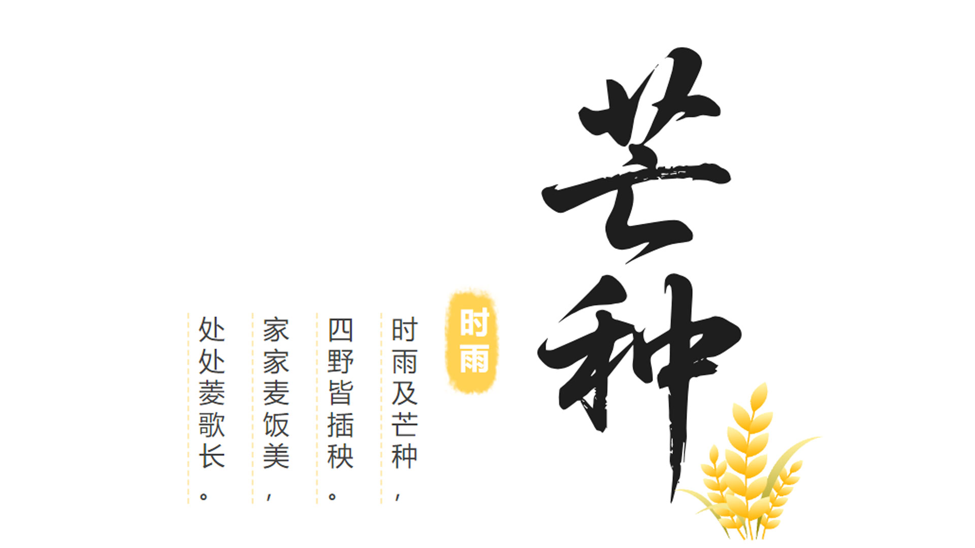 芒种1.jpg